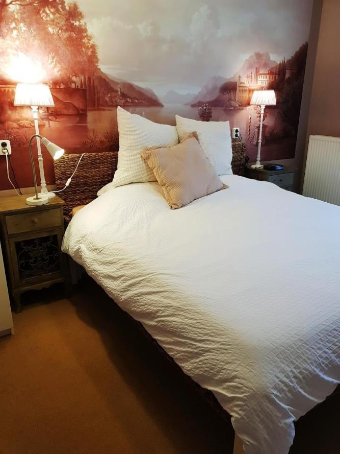 B&B Villa De Thee Tuin Bellingwolde Екстериор снимка